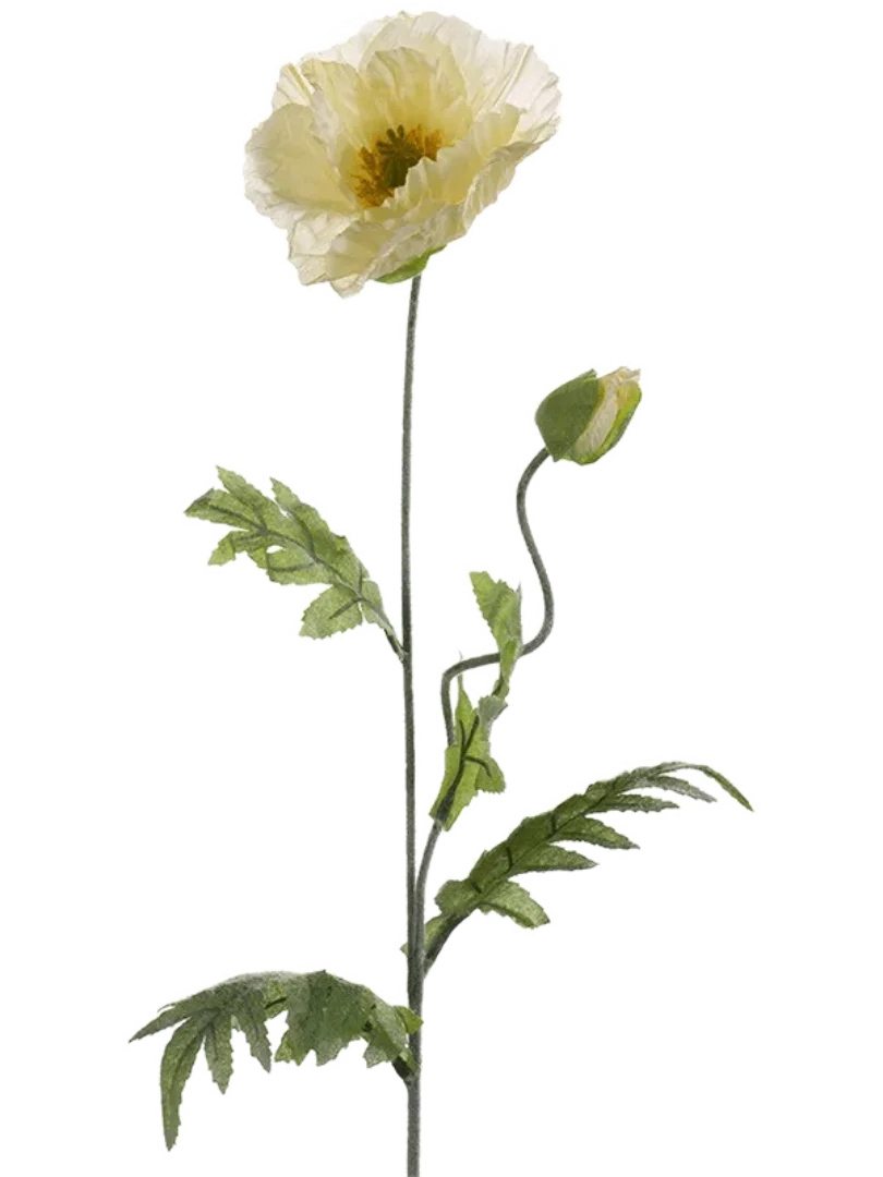 3f0949bc-902a-4fcd-a65c-d6f8a174fe5f-6bd90b60-1214-4901-90c5-a49d579b2d5e