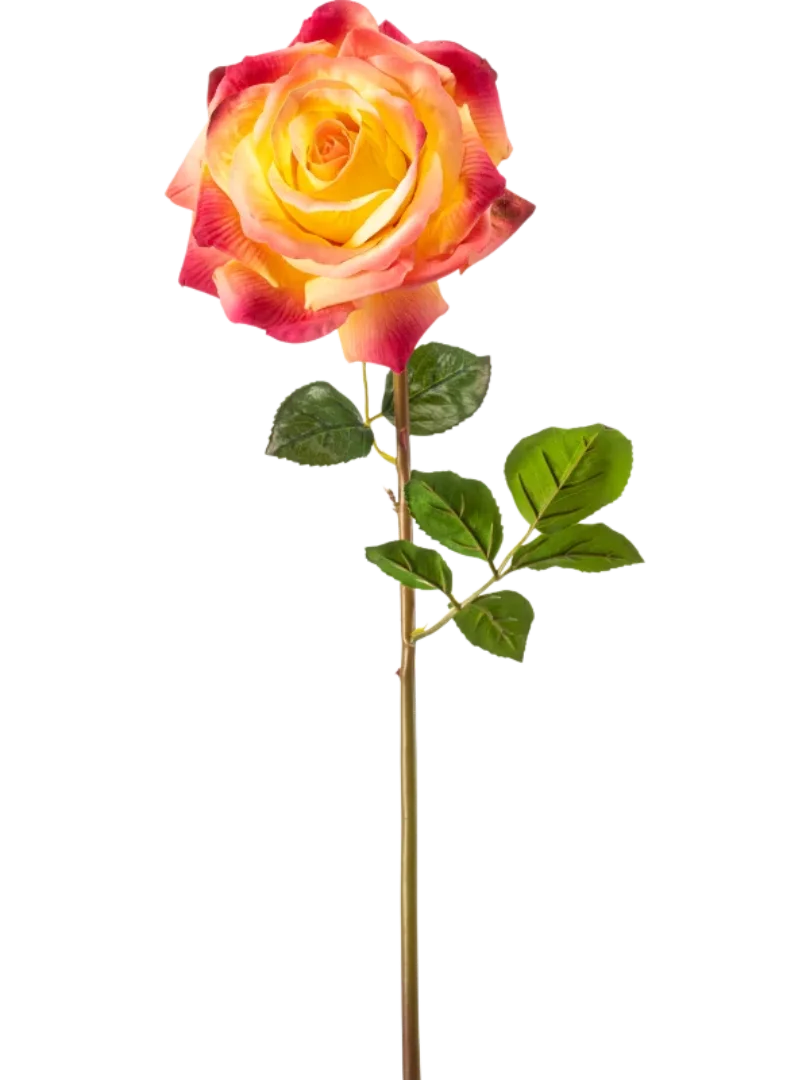 3f0949bc-902a-4fcd-a65c-d6f8a174fe5f-59a6a9ed-e4e7-4af7-8aac-e0d4a2c57c59