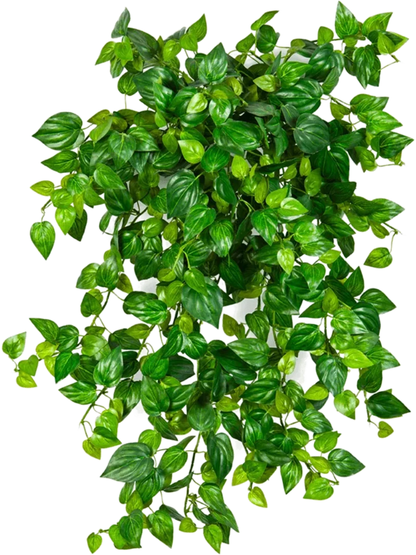 3f0949bc-902a-4fcd-a65c-d6f8a174fe5f-59bbb652-f646-43b3-89f4-8b35b5314353