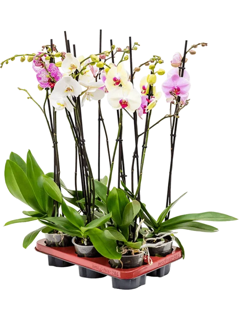 3f0949bc-902a-4fcd-a65c-d6f8a174fe5f-30284ebd-10fe-4fff-8a0f-8bec0742b289