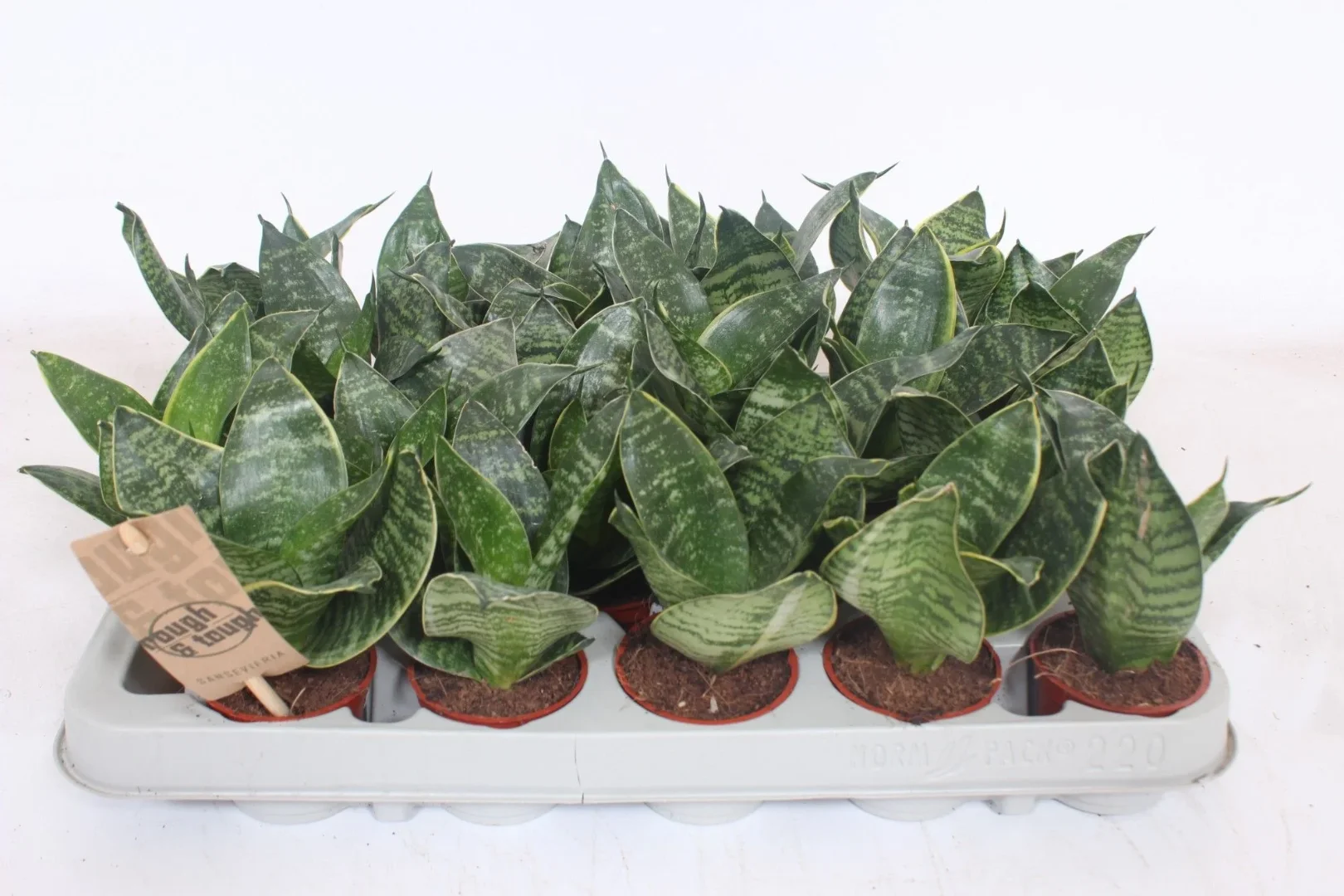 3f0949bc-902a-4fcd-a65c-d6f8a174fe5f-1afbb42c-1fb3-436f-8db4-8d46c75168e4