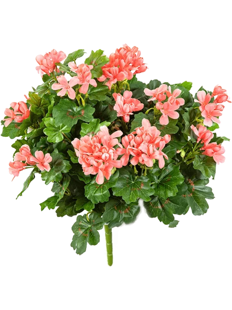 3f0949bc-902a-4fcd-a65c-d6f8a174fe5f-9499052d-eeaf-4881-8010-709a7cecd2f6