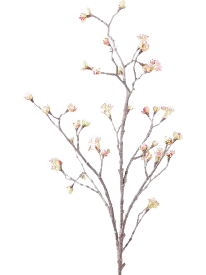 3f0949bc-902a-4fcd-a65c-d6f8a174fe5f-b6ec45b0-7b53-4207-8a49-2c78b4ccf0e8