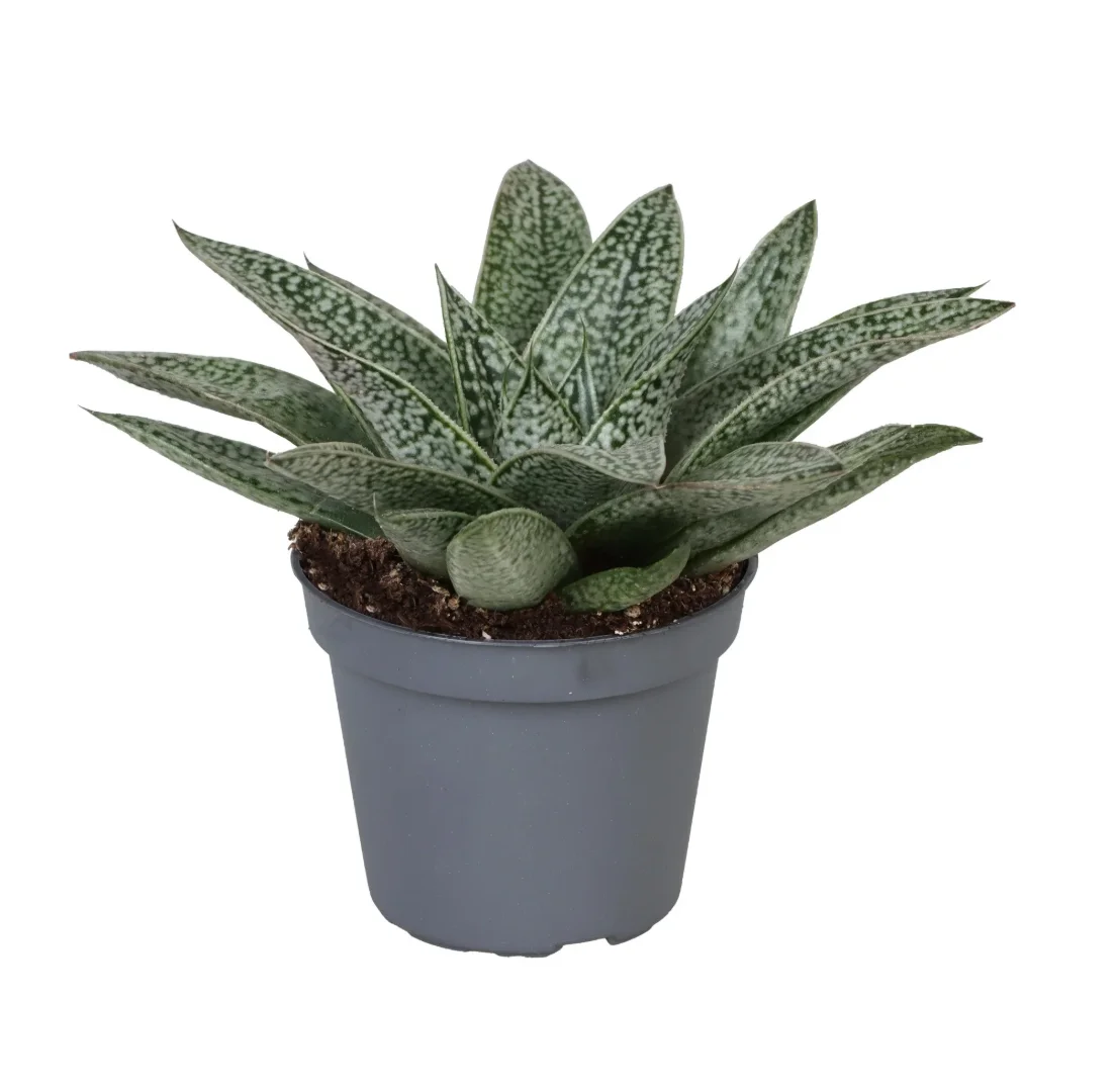 3f0949bc-902a-4fcd-a65c-d6f8a174fe5f-e336d641-08b6-4b69-a67e-47a107c1b9ee