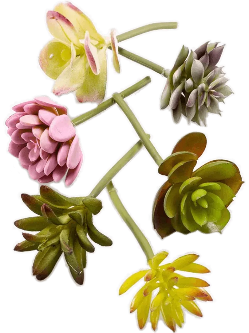 3f0949bc-902a-4fcd-a65c-d6f8a174fe5f-f51f6b0c-70da-4149-af60-12b47b3d7491