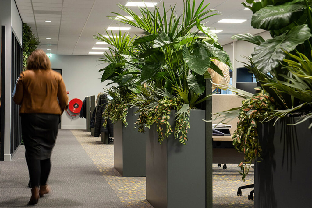 Hoe werkt een onderhoudscontract voor kantoorplanten