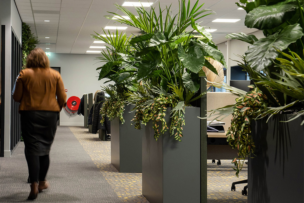 Hoe werkt een onderhoudscontract voor kantoorplanten