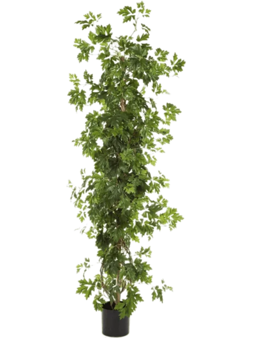 3f0949bc-902a-4fcd-a65c-d6f8a174fe5f-30a93ff4-e4fb-4c41-bfaf-588707b1bc80