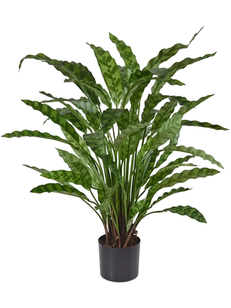3f0949bc-902a-4fcd-a65c-d6f8a174fe5f-6ae1b0dd-8365-453d-8788-a94bf8e6a5ed