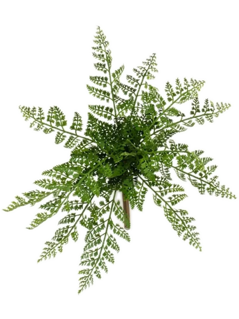 3f0949bc-902a-4fcd-a65c-d6f8a174fe5f-b71ceed0-2a65-4df6-9848-706d2289bc7c