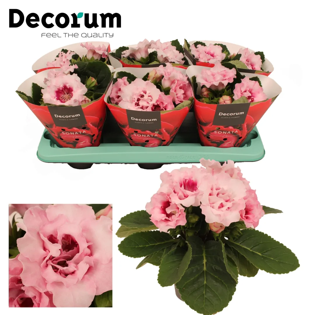 3f0949bc-902a-4fcd-a65c-d6f8a174fe5f-de3a05f6-4468-41ee-bef6-5bb6cb5eb53d