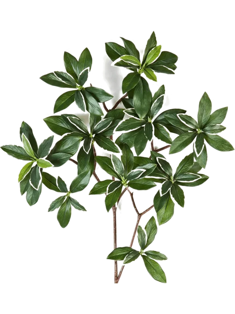 3f0949bc-902a-4fcd-a65c-d6f8a174fe5f-377317e1-cbb8-4ac6-9b6a-d4c5f15e9647