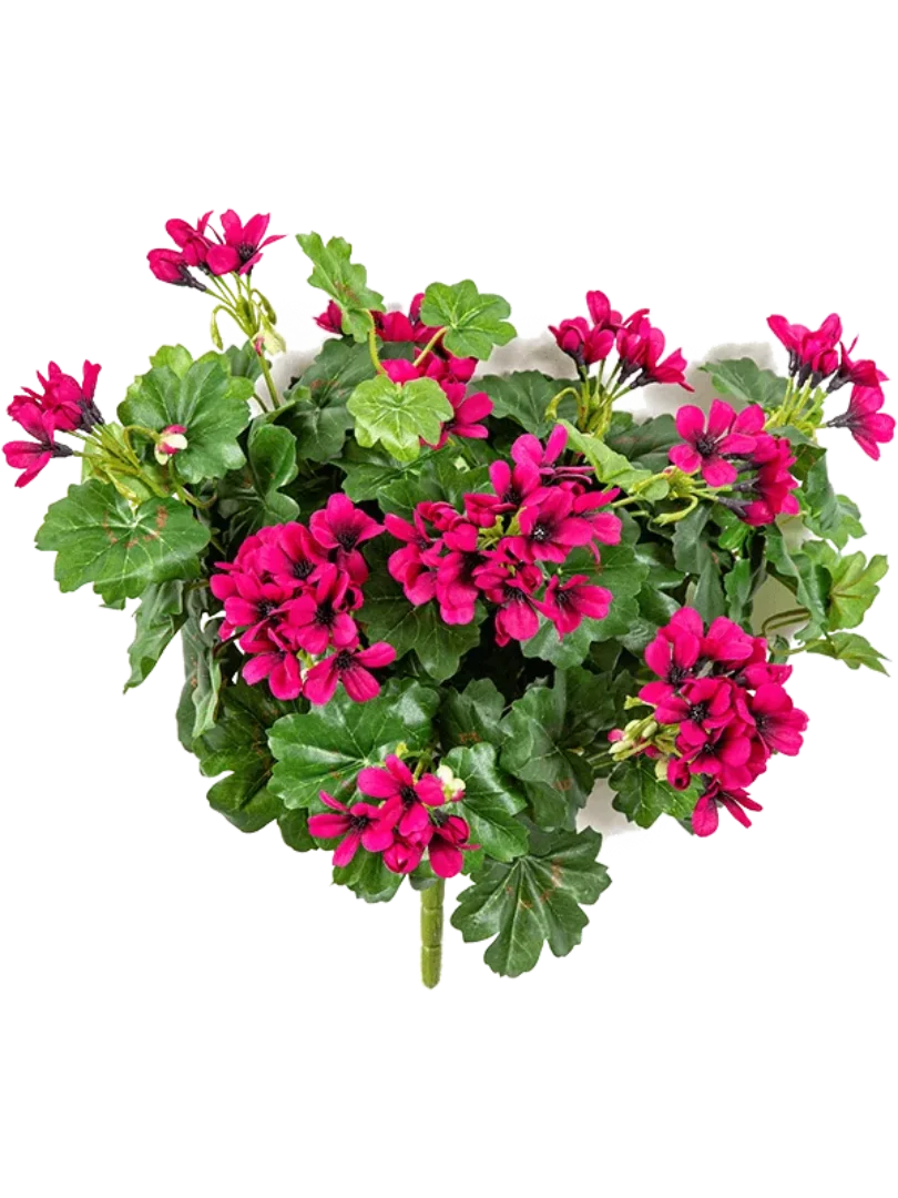 3f0949bc-902a-4fcd-a65c-d6f8a174fe5f-7202f692-36eb-4b1c-9133-ef2b938a03ba