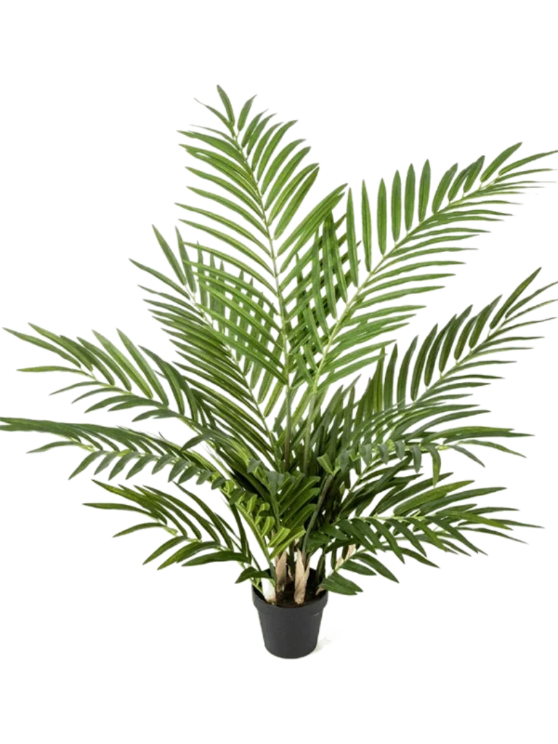 3f0949bc-902a-4fcd-a65c-d6f8a174fe5f-46fc994b-10bf-447e-b018-b0a675277e54