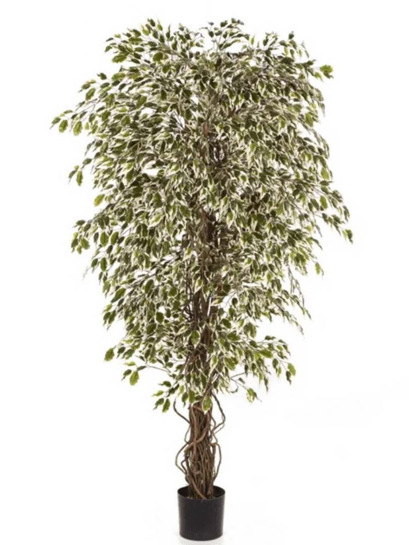 3f0949bc-902a-4fcd-a65c-d6f8a174fe5f-4acae1e6-7f9d-415b-982a-a220b59e648f