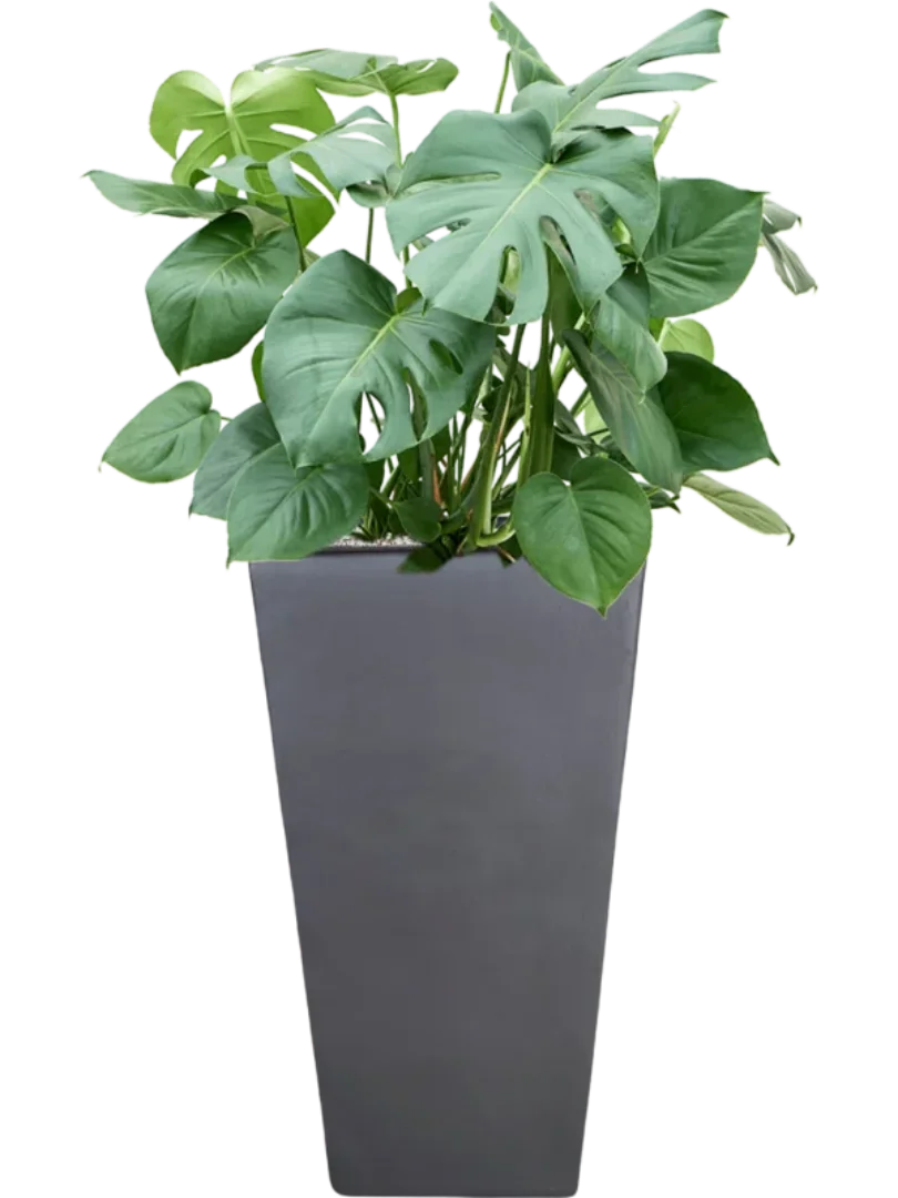 3f0949bc-902a-4fcd-a65c-d6f8a174fe5f-5c4e7972-bd1a-4b98-a772-1b16699b4cad