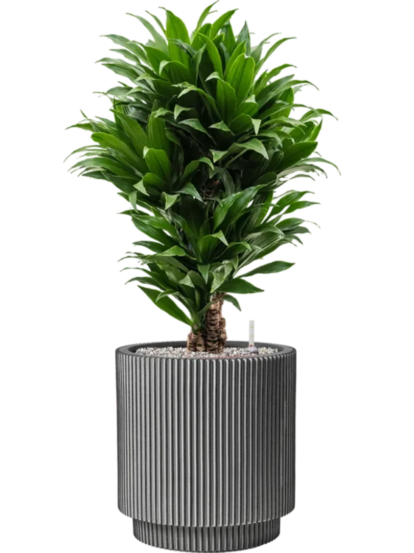 3f0949bc-902a-4fcd-a65c-d6f8a174fe5f-50b540f3-1901-4e46-8064-da148e9453a0