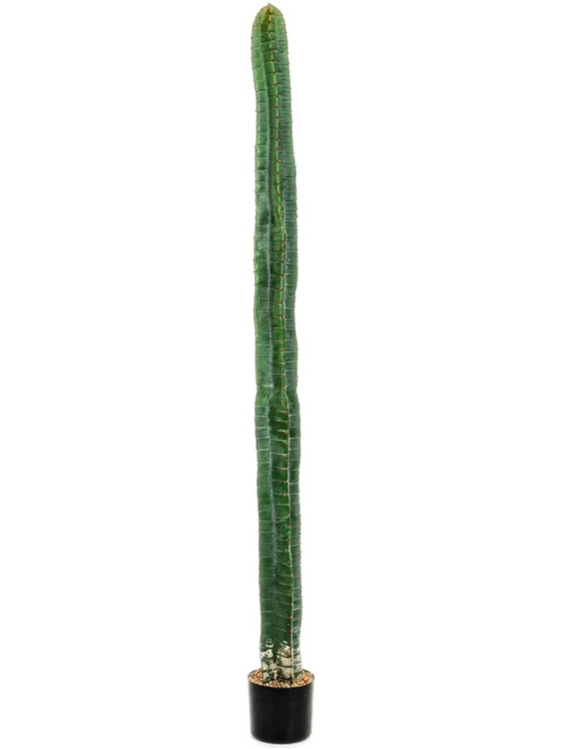 3f0949bc-902a-4fcd-a65c-d6f8a174fe5f-52e7253e-d31f-454d-8a85-fbdfc54e7368