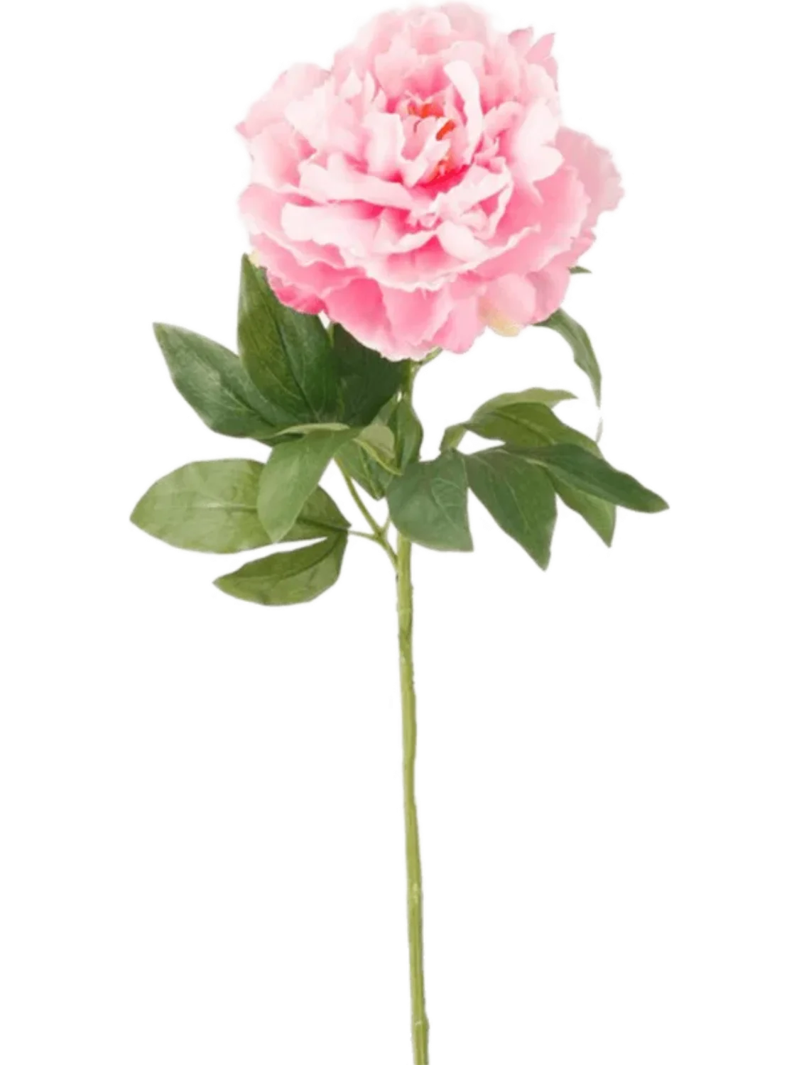 3f0949bc-902a-4fcd-a65c-d6f8a174fe5f-f3dcd34e-12e3-4612-845e-9b34b3d64ac8