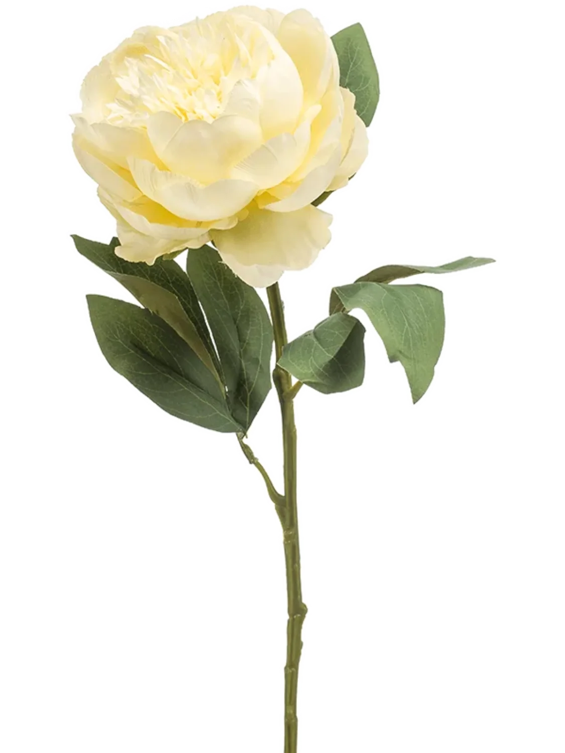 3f0949bc-902a-4fcd-a65c-d6f8a174fe5f-0db70bb7-7f13-4d71-9191-579eb054f1d2