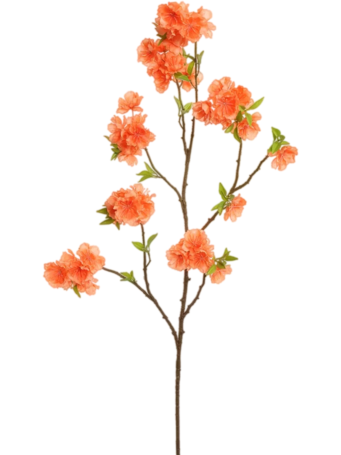 3f0949bc-902a-4fcd-a65c-d6f8a174fe5f-416d6d4e-8251-4223-bb46-4d71a6bf26ea