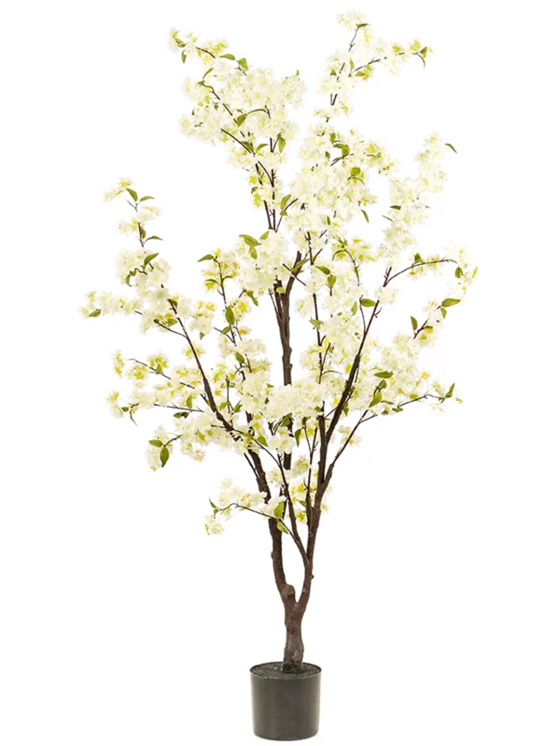 3f0949bc-902a-4fcd-a65c-d6f8a174fe5f-9490328a-07f0-4130-b813-75de0e470d7f