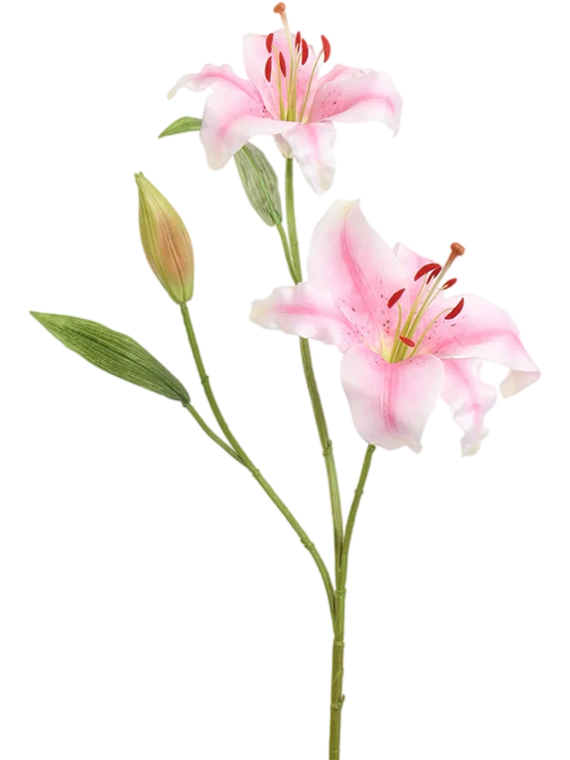 3f0949bc-902a-4fcd-a65c-d6f8a174fe5f-31f42e39-3572-4ec5-929d-c93db6ddd5ce
