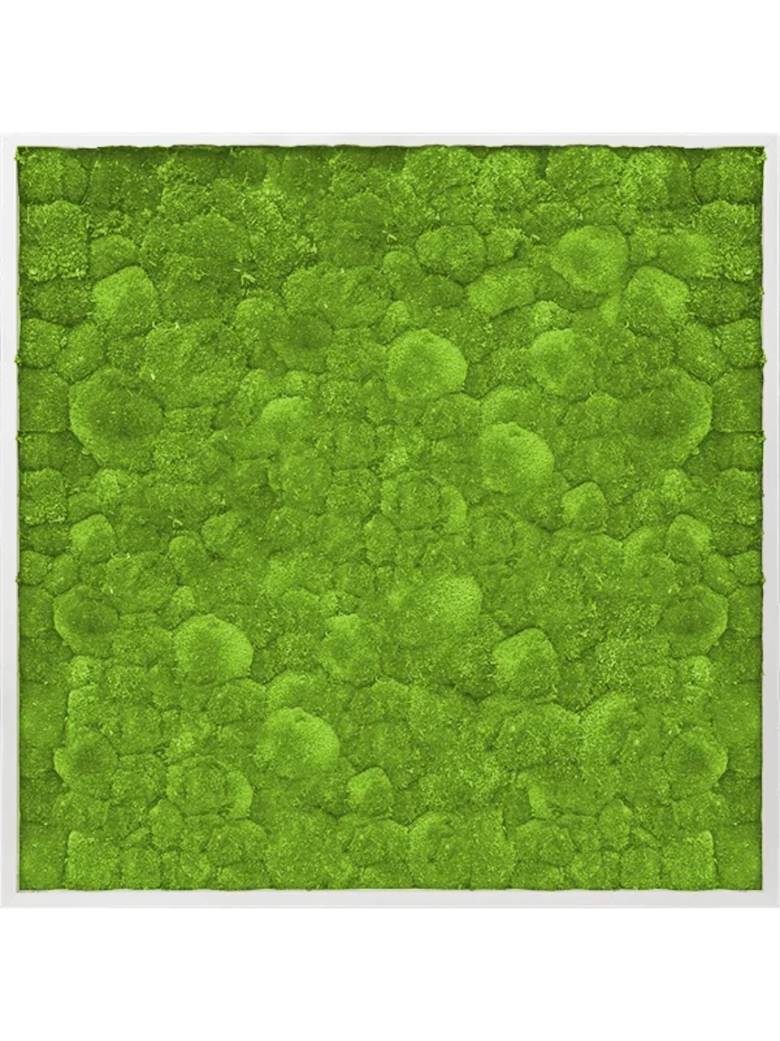 3f0949bc-902a-4fcd-a65c-d6f8a174fe5f-a70a2c92-23e2-405a-aff0-f2828d7212a9