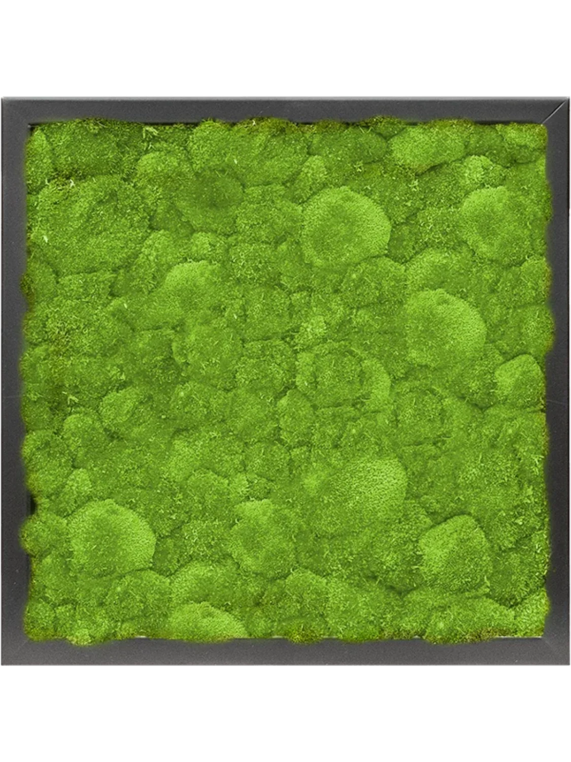 3f0949bc-902a-4fcd-a65c-d6f8a174fe5f-99f68c38-68e7-4be6-9b67-8d24f0d2987e