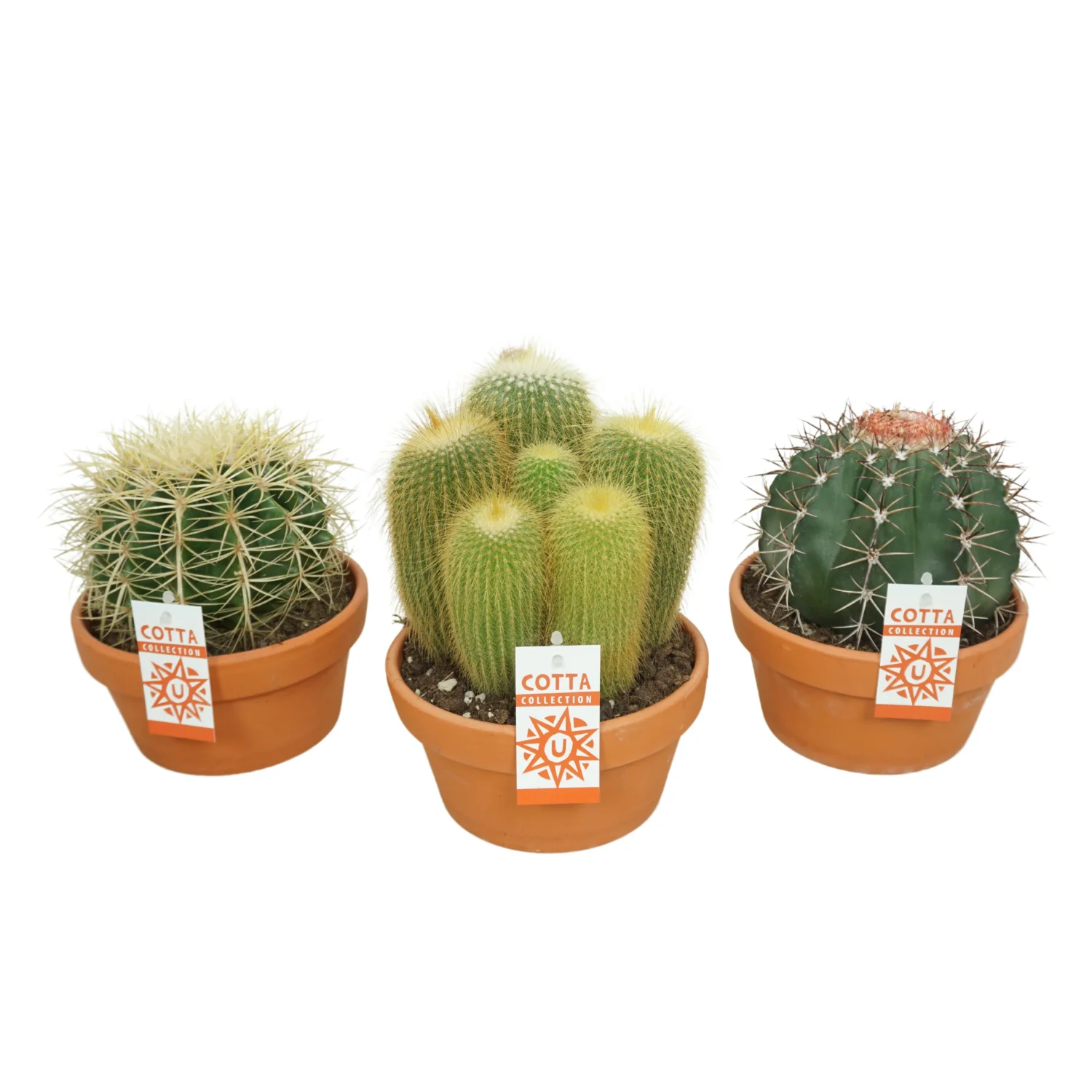 3f0949bc-902a-4fcd-a65c-d6f8a174fe5f-16df34cf-5ca6-40b2-9deb-66cfde308a7d
