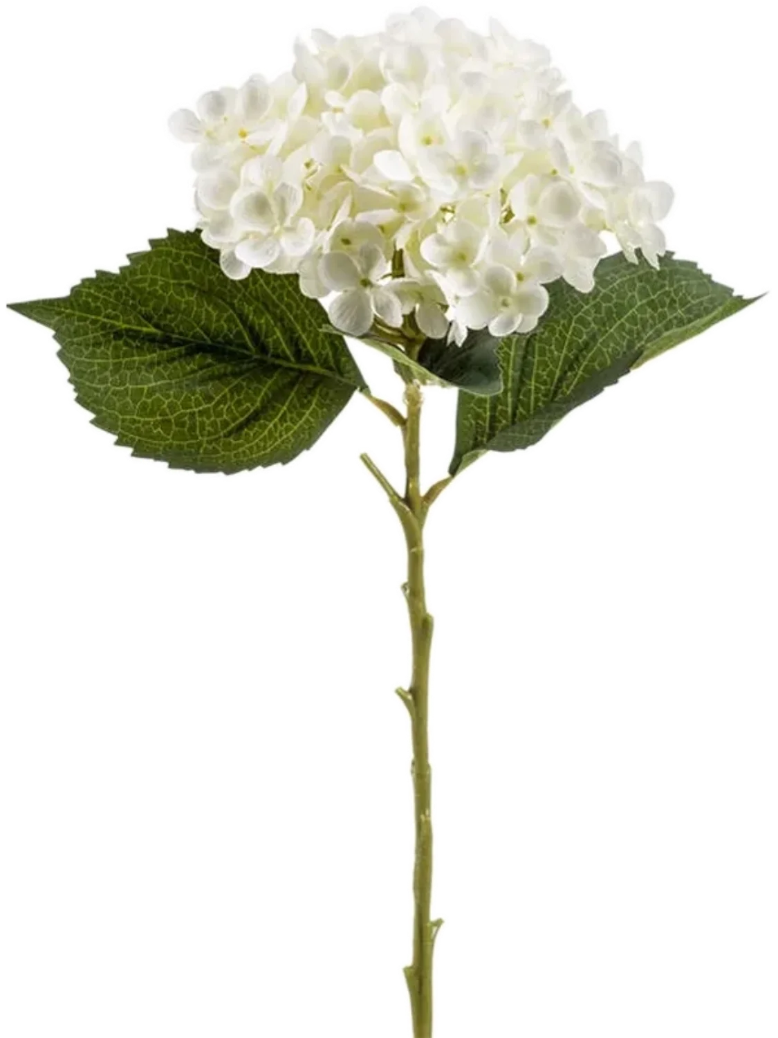 3f0949bc-902a-4fcd-a65c-d6f8a174fe5f-97b74f6c-d5d0-4cb1-b2ff-9dc8cde64e8a