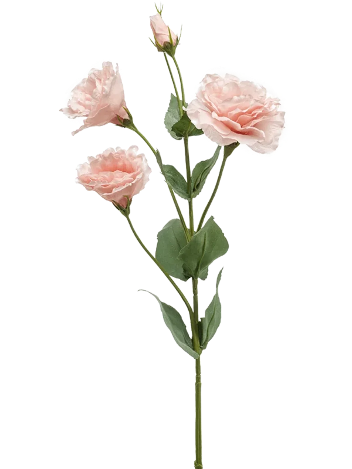 3f0949bc-902a-4fcd-a65c-d6f8a174fe5f-2c42c55f-4475-45de-910e-f151f9f668da