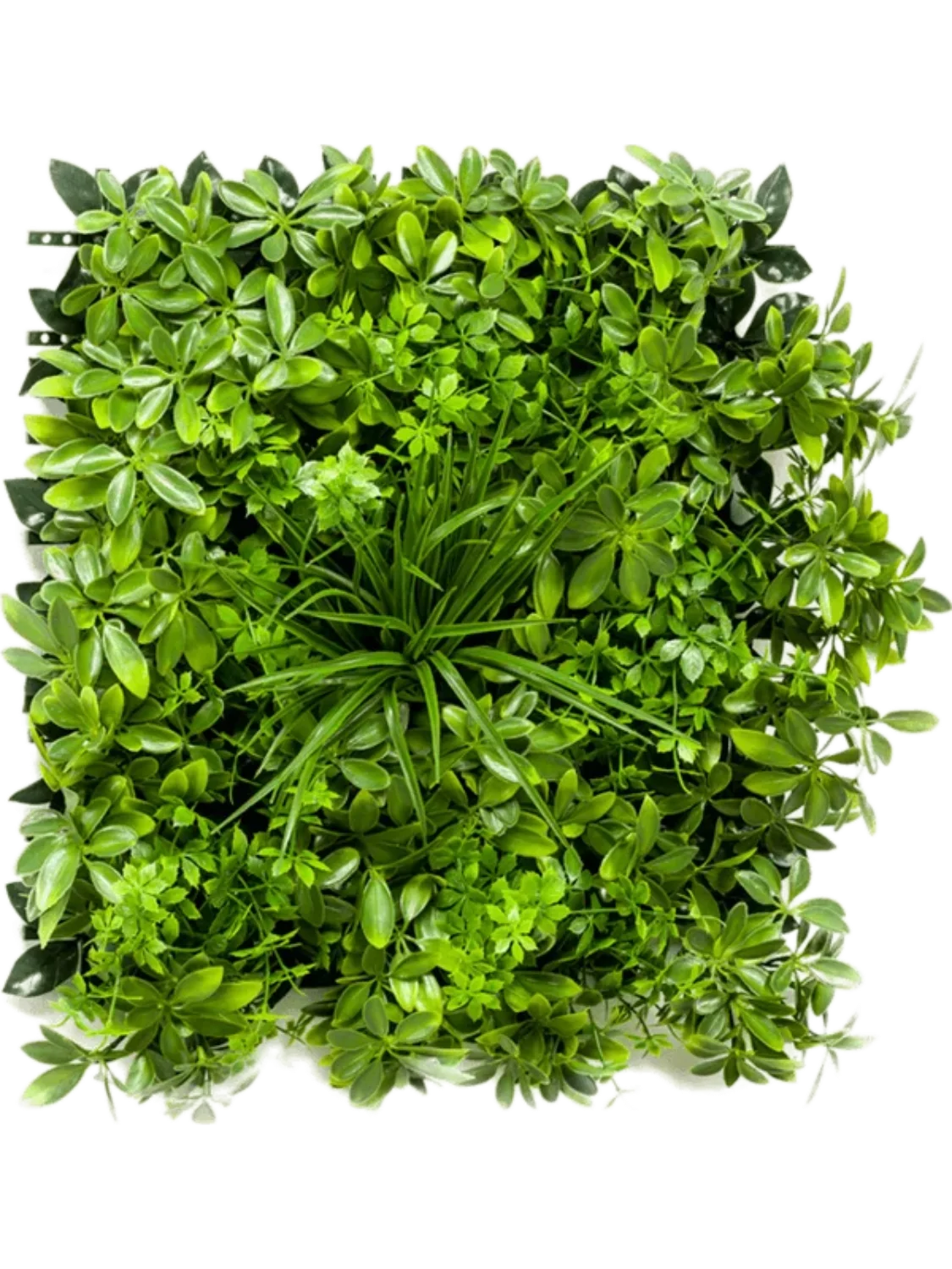 3f0949bc-902a-4fcd-a65c-d6f8a174fe5f-592b72b1-9b9b-4dd1-899b-26a36959c819