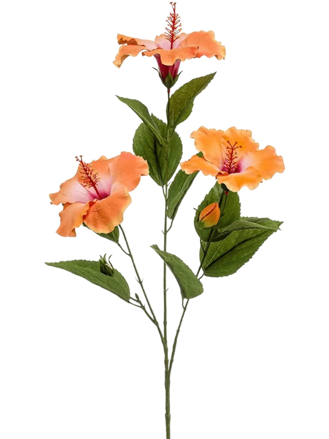 3f0949bc-902a-4fcd-a65c-d6f8a174fe5f-60c3bad5-18ea-4c8f-9acd-72af0fb27629