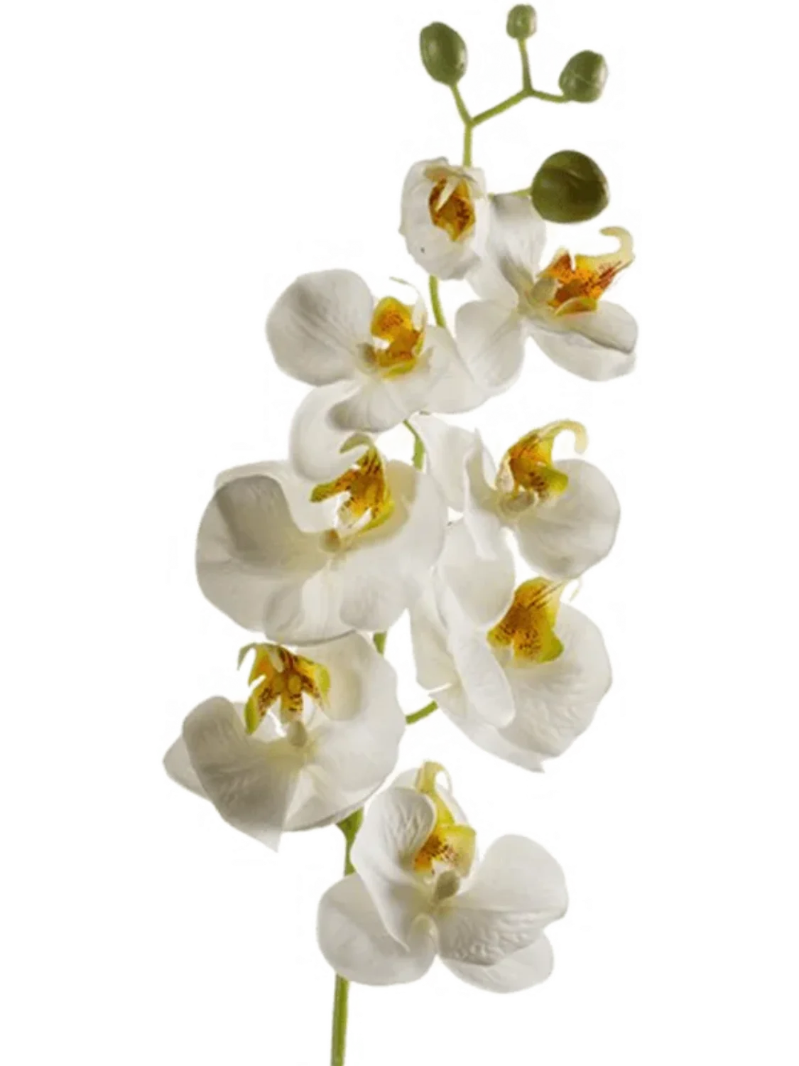 3f0949bc-902a-4fcd-a65c-d6f8a174fe5f-c6b45363-4be9-4cfc-86bb-c37bd6cebb2a