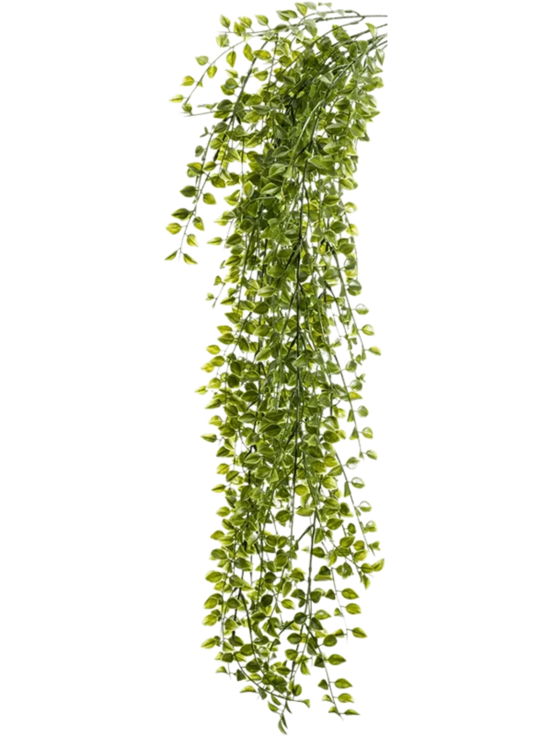 3f0949bc-902a-4fcd-a65c-d6f8a174fe5f-86f7cd80-3fd2-43a4-b652-e6bc7e3ae421
