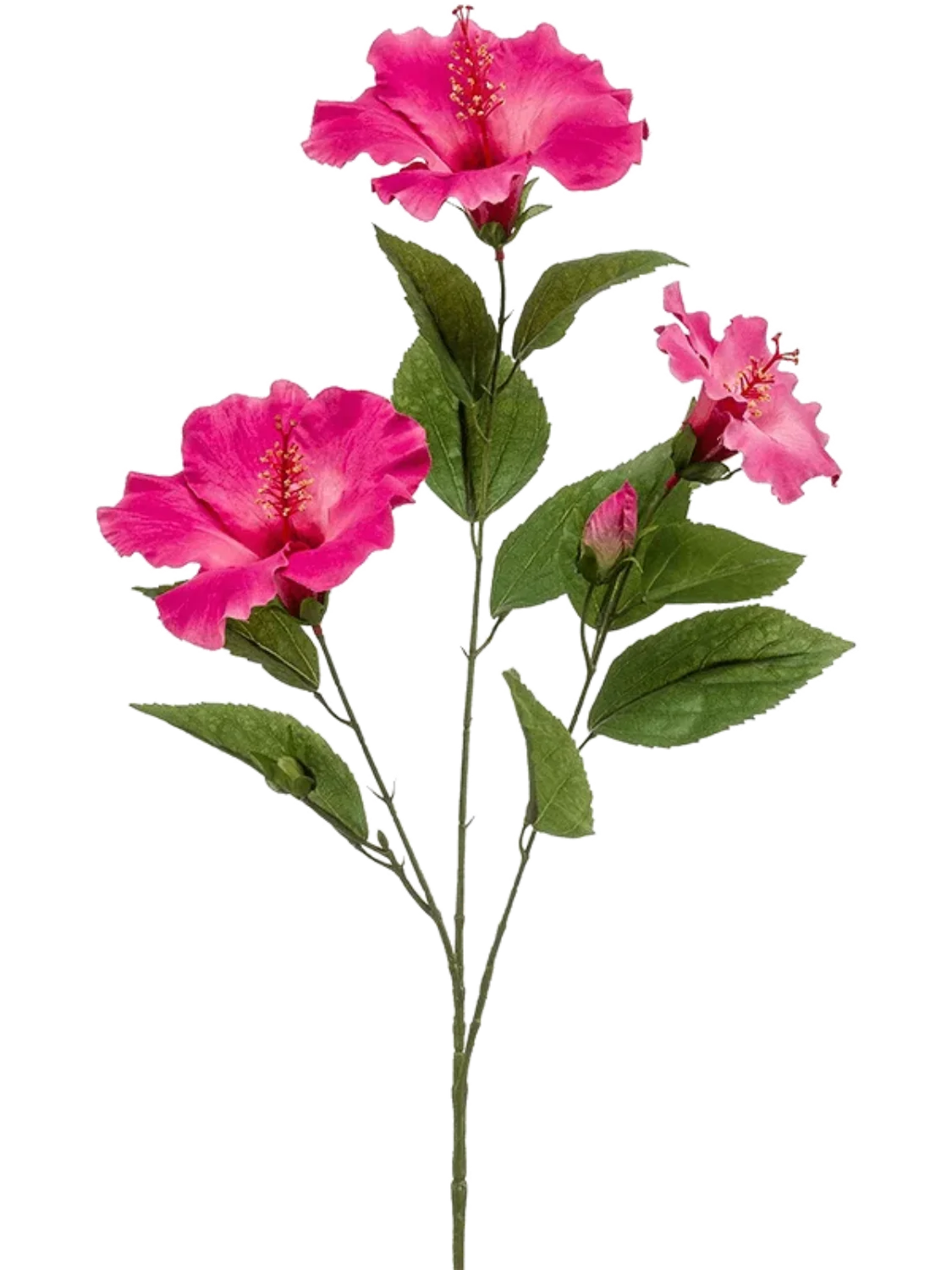 3f0949bc-902a-4fcd-a65c-d6f8a174fe5f-a7ecc415-e86c-4176-8238-07aac9bd2ece