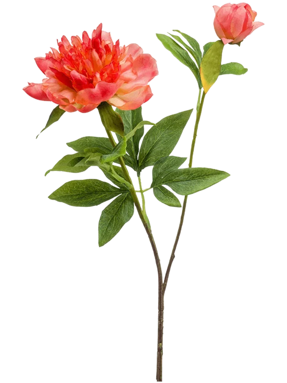 3f0949bc-902a-4fcd-a65c-d6f8a174fe5f-8508dceb-cb23-442e-a820-5ea73295b8b4