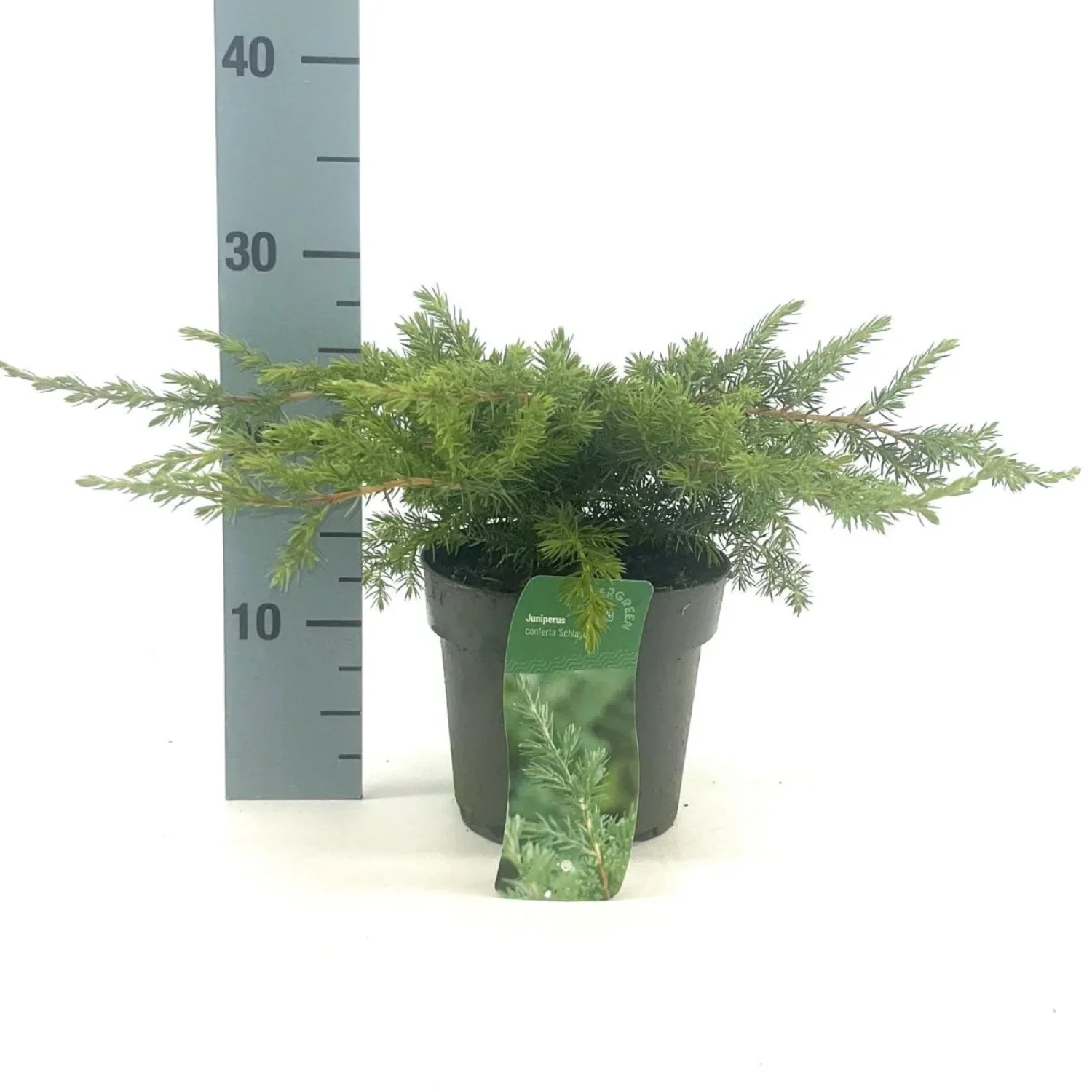 3f0949bc-902a-4fcd-a65c-d6f8a174fe5f-a4a57211-e868-427c-bcdc-b118fe05f4a1
