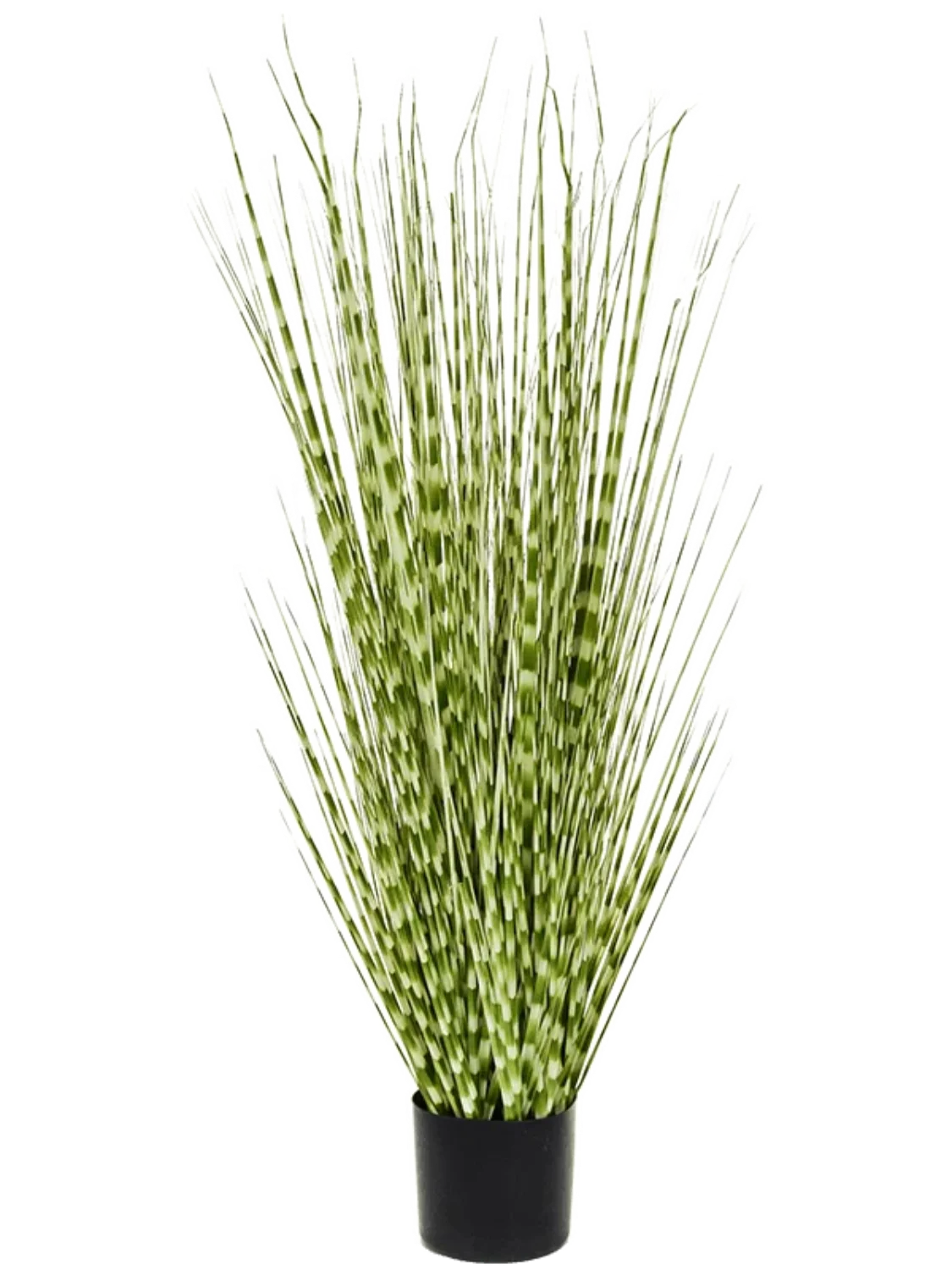 3f0949bc-902a-4fcd-a65c-d6f8a174fe5f-23050a16-1cea-44e5-b71a-dc81c84e05e9