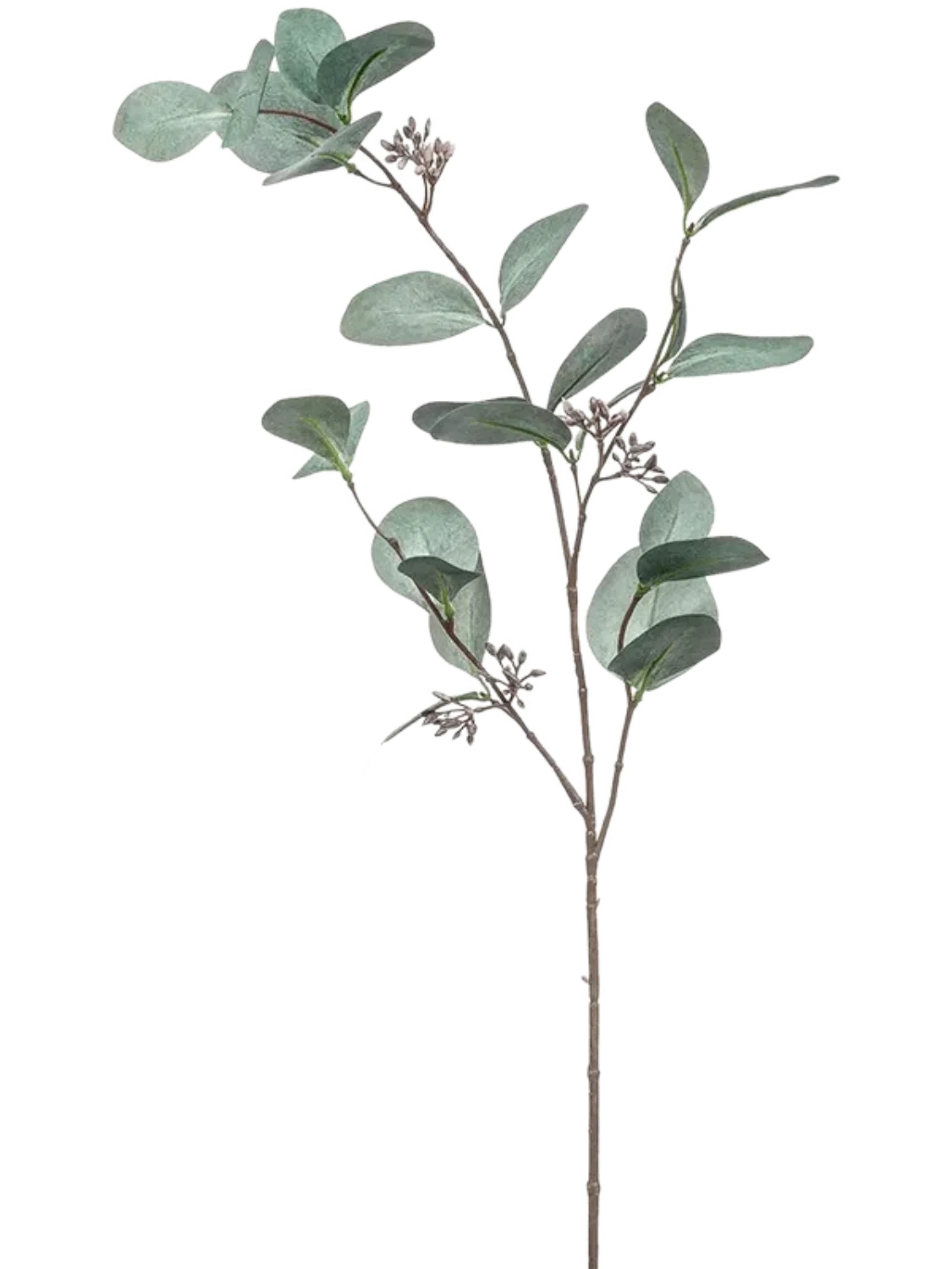 3f0949bc-902a-4fcd-a65c-d6f8a174fe5f-cc5b120d-ba3c-4449-9b53-5716432f3de6
