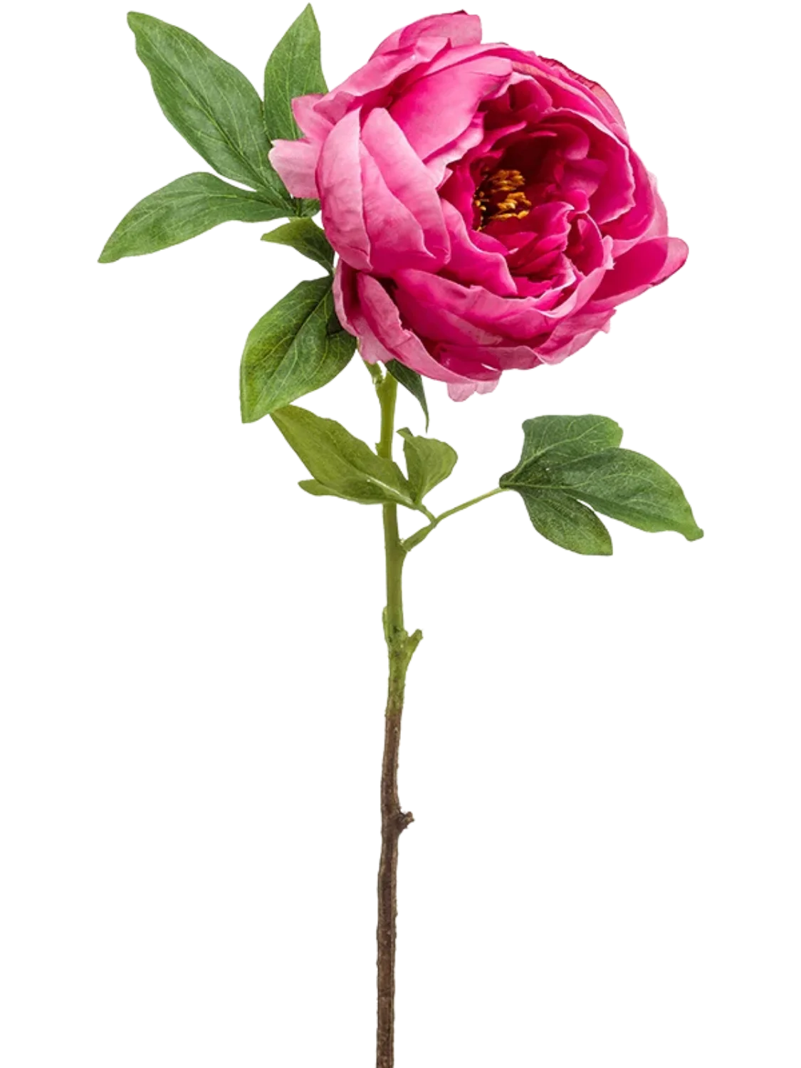 3f0949bc-902a-4fcd-a65c-d6f8a174fe5f-c1a094c1-6686-475c-942c-e3bb5eb89ab2