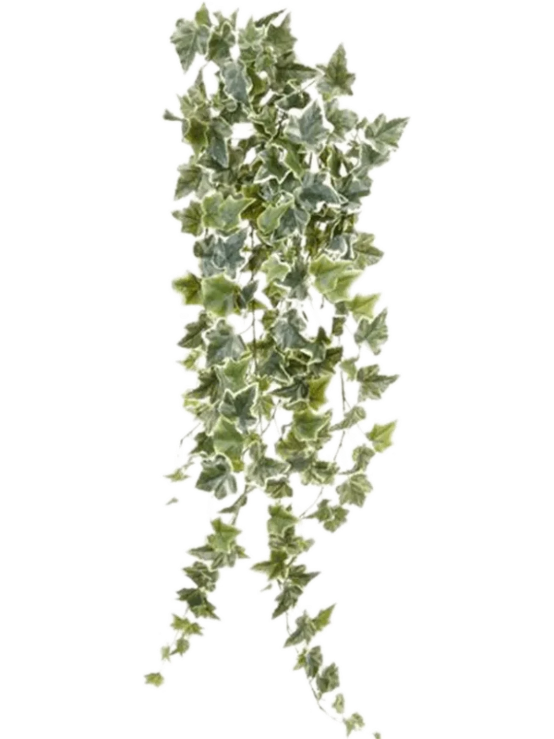 3f0949bc-902a-4fcd-a65c-d6f8a174fe5f-d1ed0402-11c2-48fa-81dc-944d66a777c6