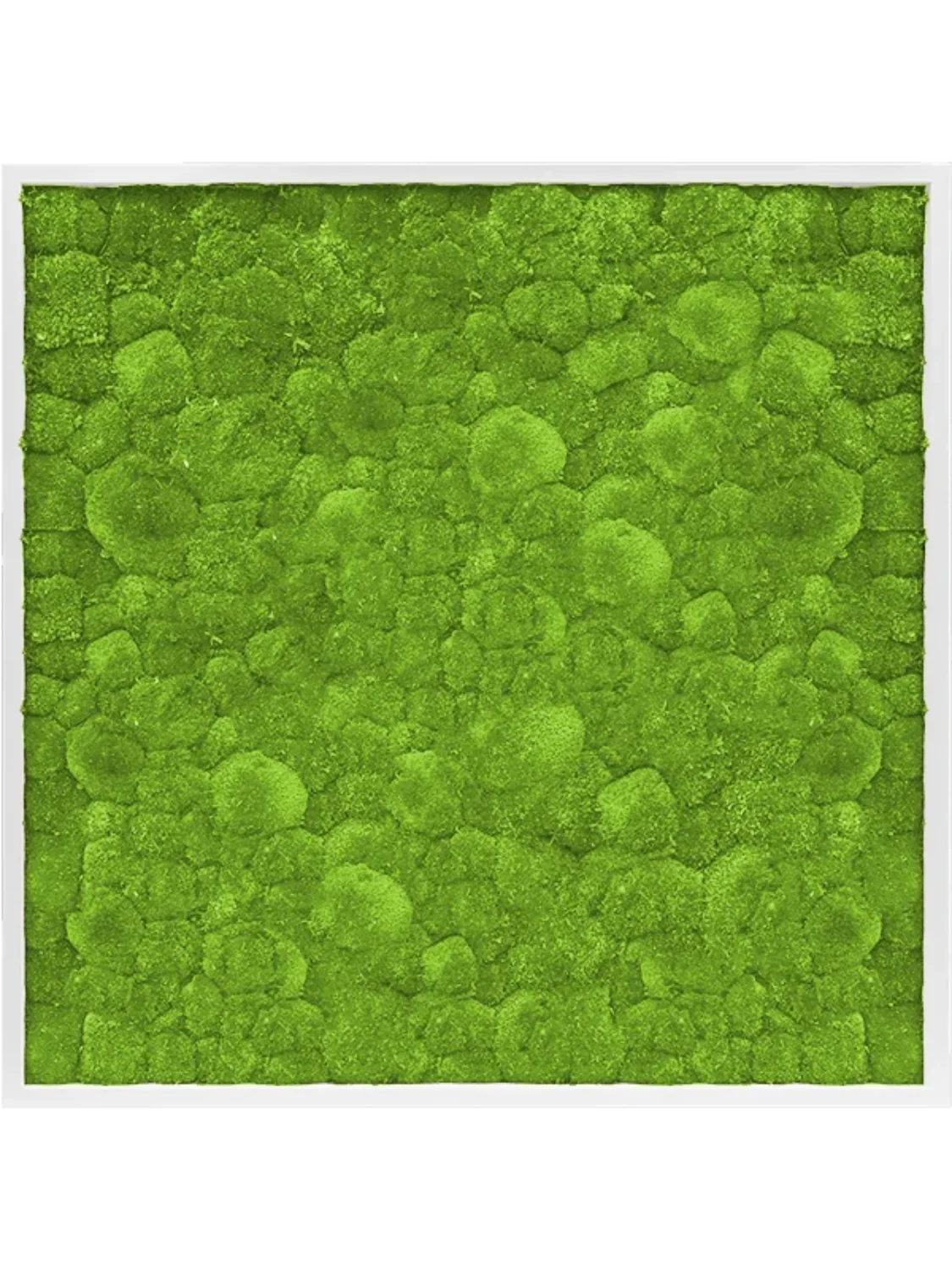 3f0949bc-902a-4fcd-a65c-d6f8a174fe5f-6fd8ea03-0b3c-43d9-b3b0-c1c12efbf35f