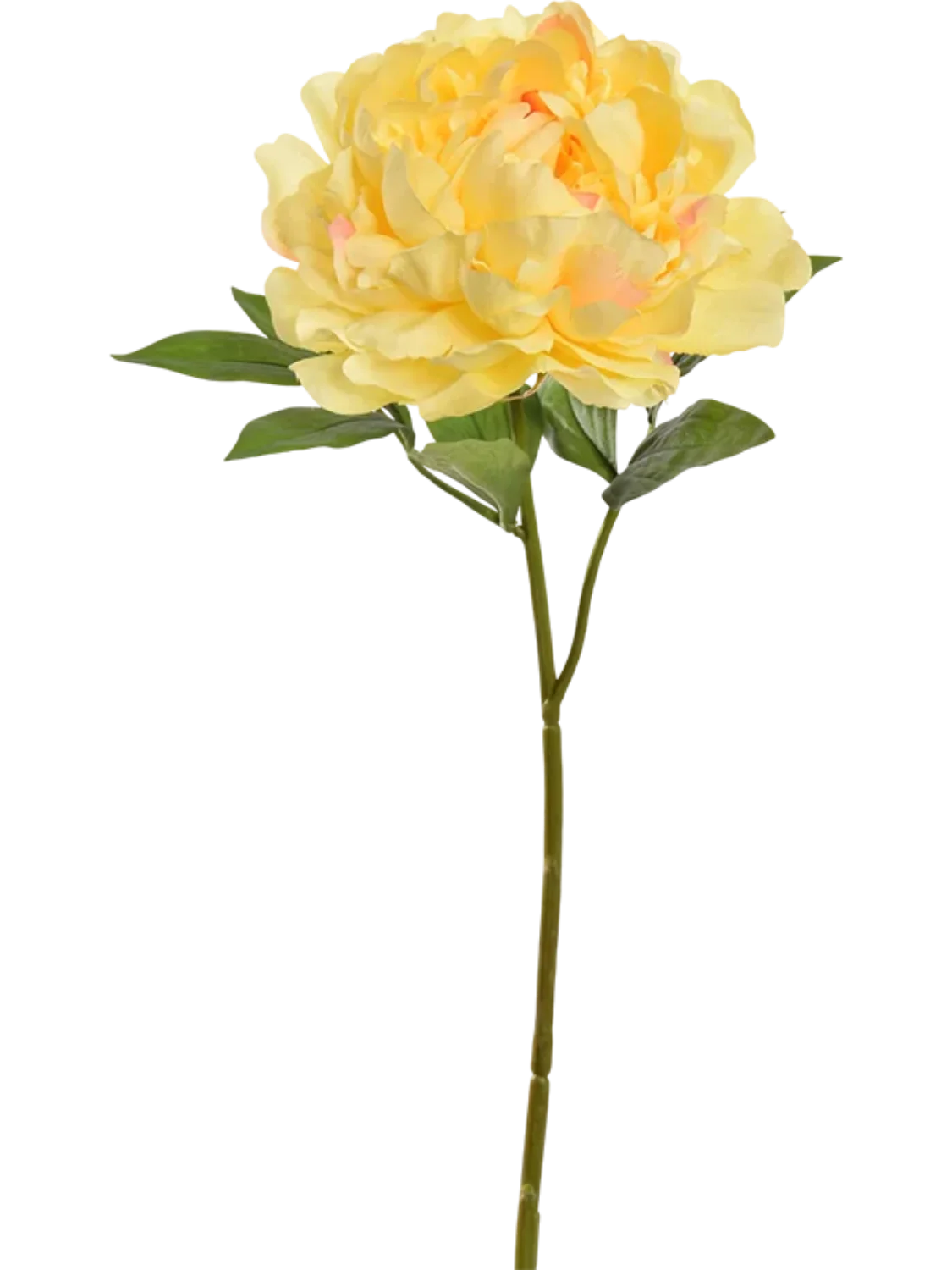 3f0949bc-902a-4fcd-a65c-d6f8a174fe5f-cbece44a-3bce-470c-9b9c-736acdd63571