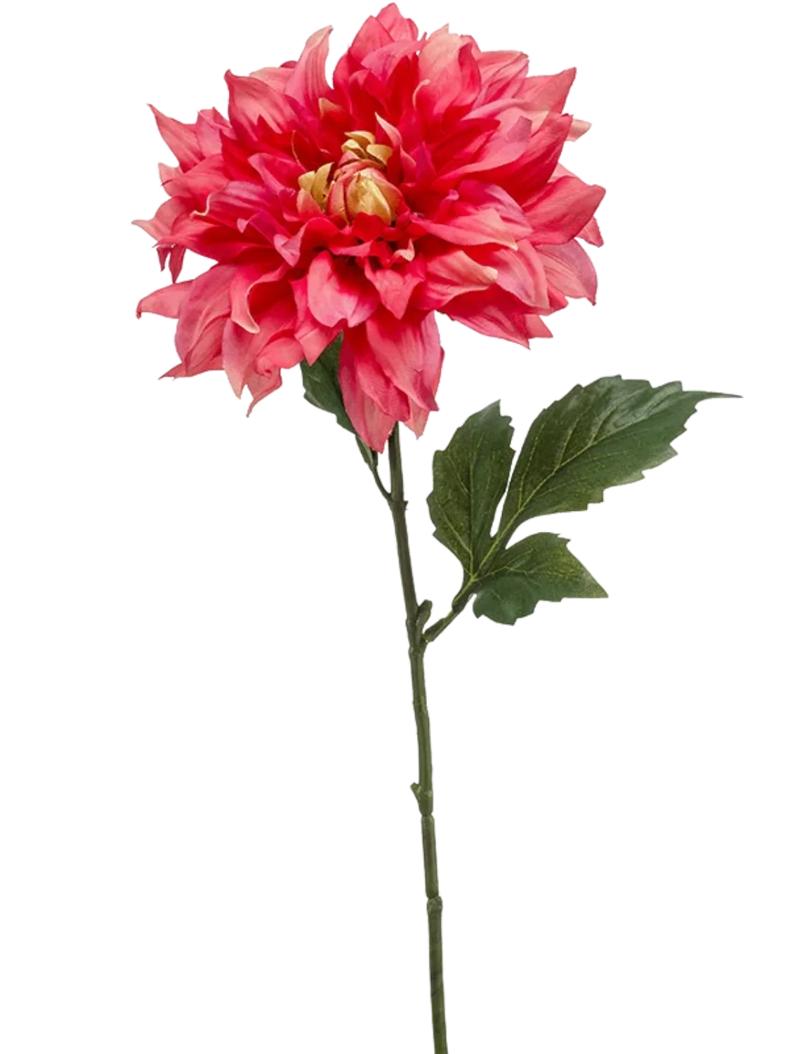 3f0949bc-902a-4fcd-a65c-d6f8a174fe5f-9f4da153-833d-4114-93b2-06de711b9fca