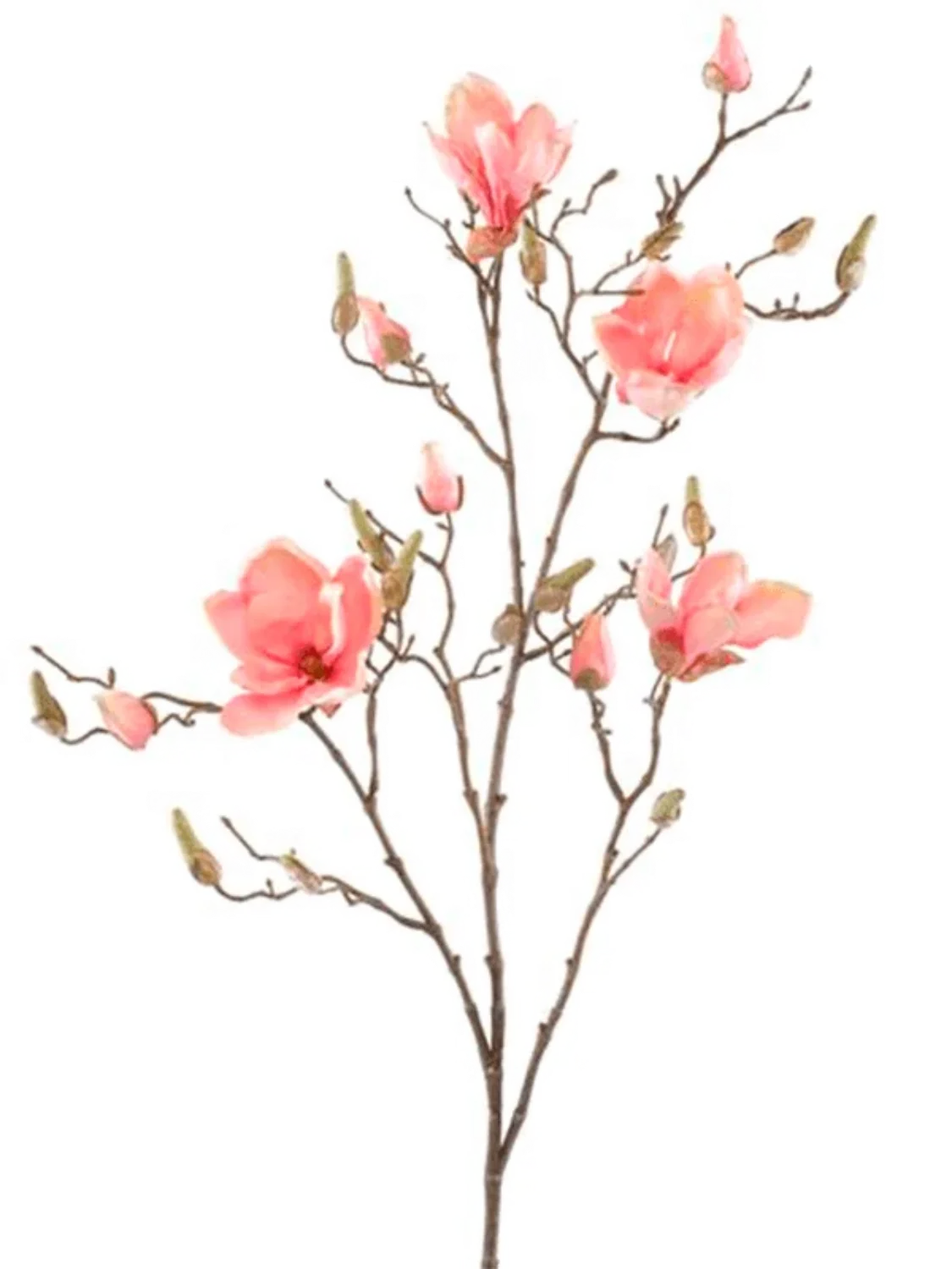 3f0949bc-902a-4fcd-a65c-d6f8a174fe5f-24d9fd50-1522-4cdf-8bce-2ba986aca16e