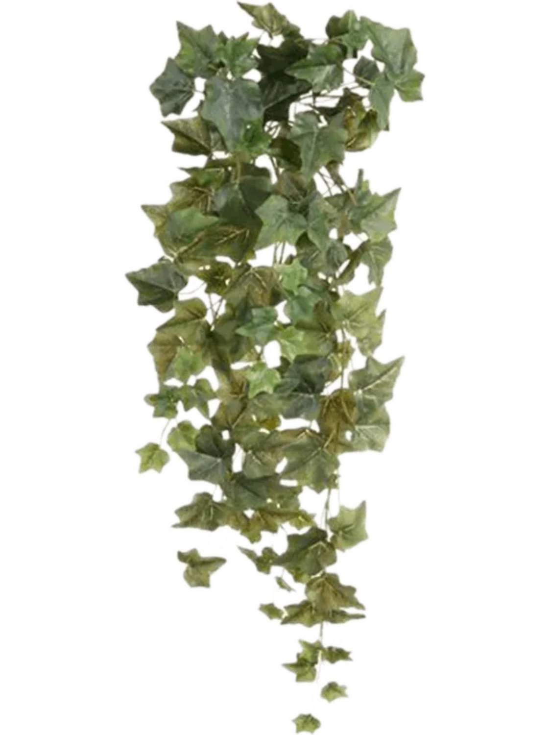 3f0949bc-902a-4fcd-a65c-d6f8a174fe5f-cb1f0c55-269f-4467-9159-43c9c3c2669a