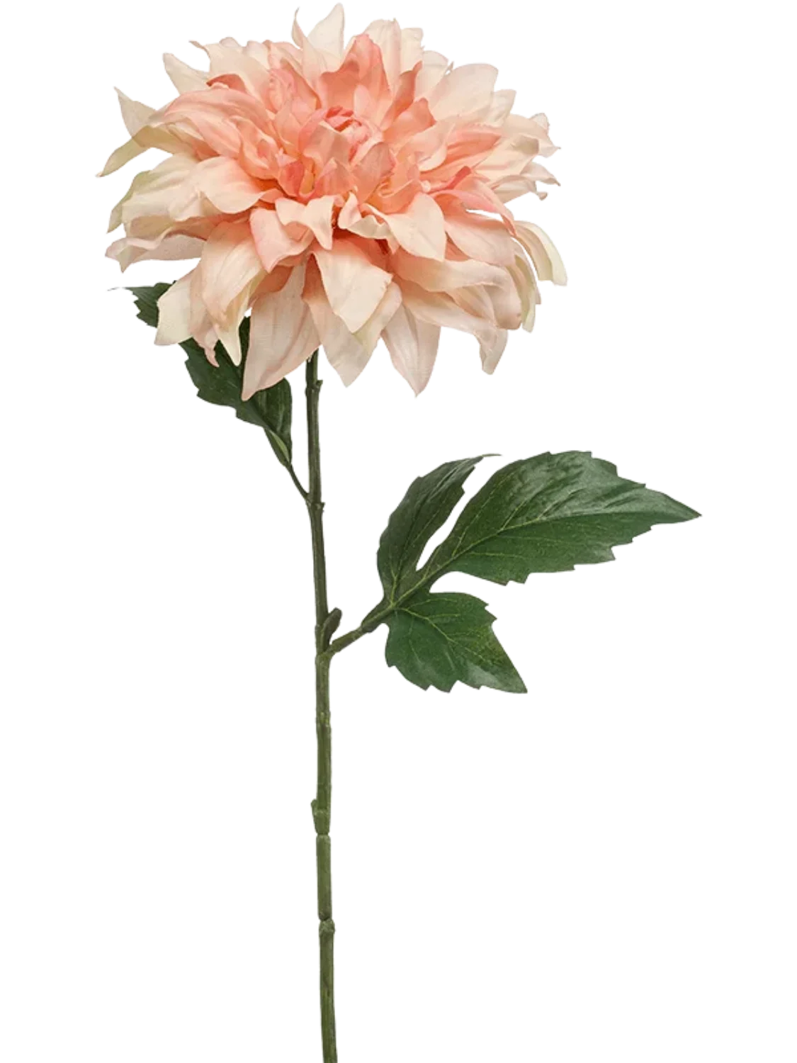 3f0949bc-902a-4fcd-a65c-d6f8a174fe5f-d74af646-2f1a-4bd6-9683-c2047140d667