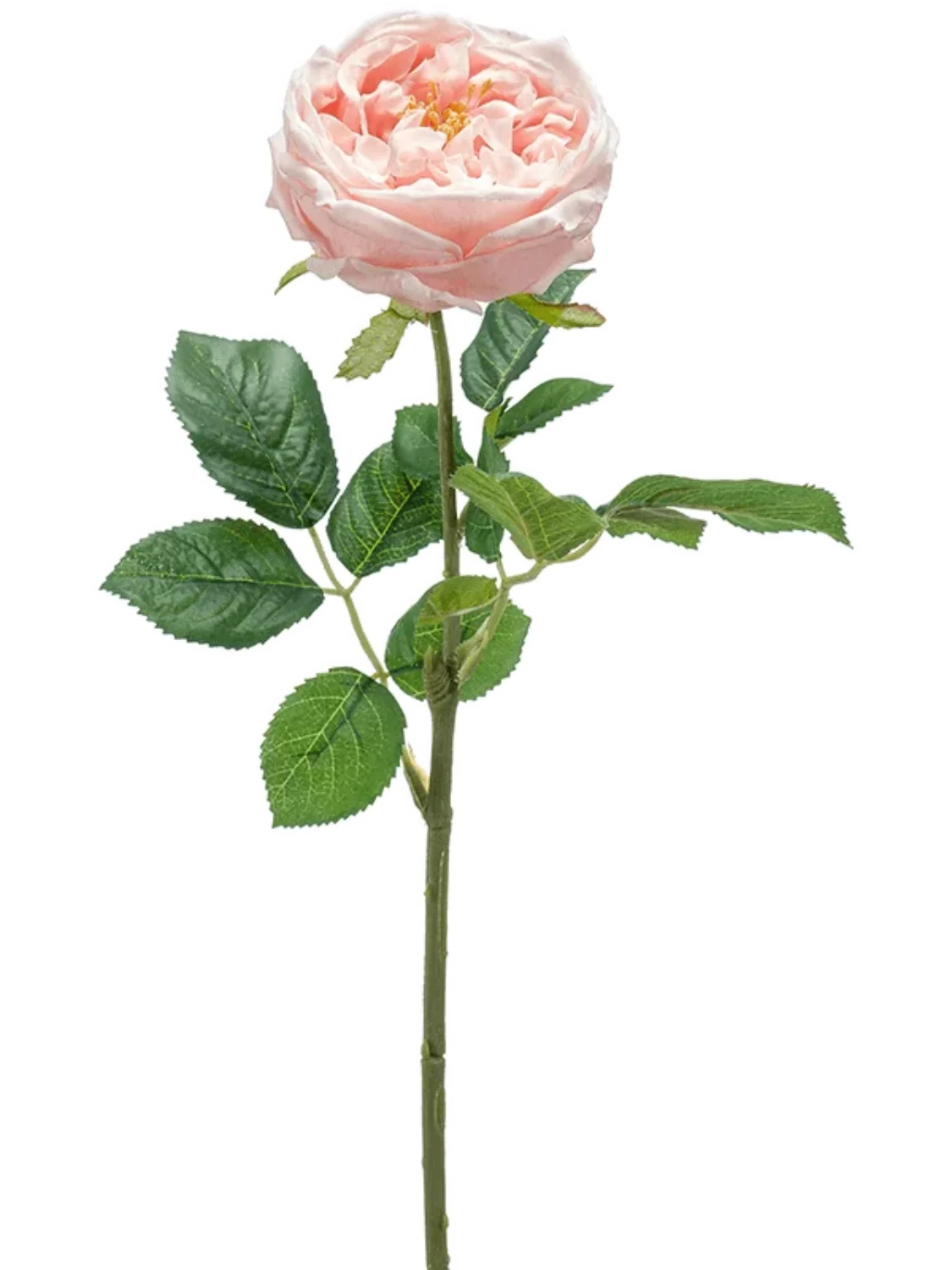3f0949bc-902a-4fcd-a65c-d6f8a174fe5f-7e205d1c-5f79-4552-adcf-b38efbb9e335